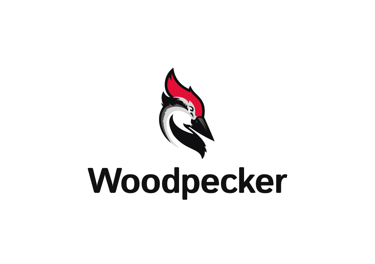 Woodpecker_Email Tools_Cold Email